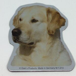 Magnet med Golden Retriever