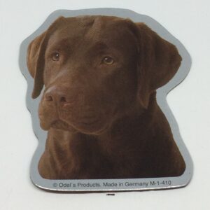 Magnet med Labrador