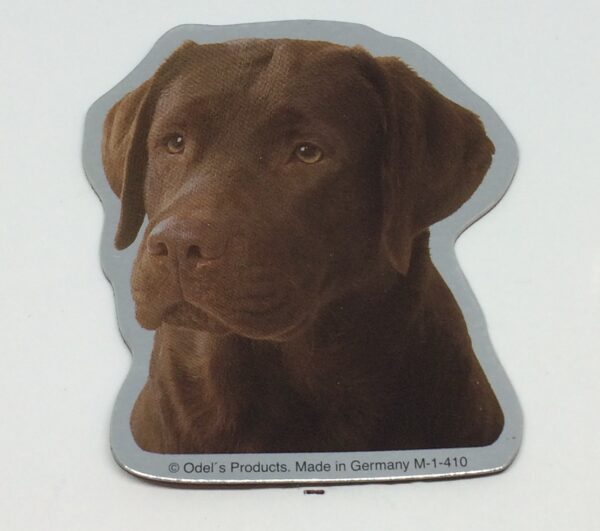 Magnet med Labrador