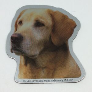 Magnet med Labrador