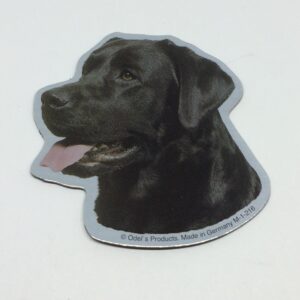 Magnet med Labrador