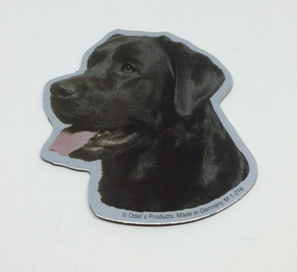 Magnet med Labrador