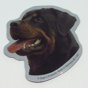 Magnet med Rottweiler