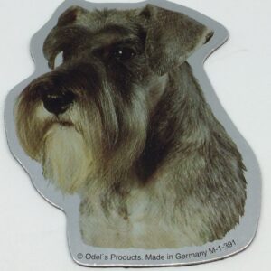 Magnet med Schnauzer