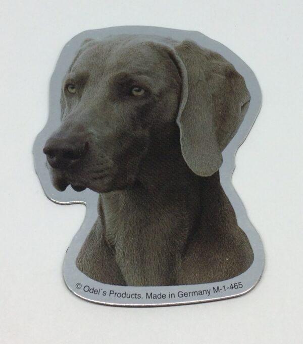 Magnet med Weimaraner