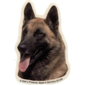 Malinois/Belgisk Hyrdehund