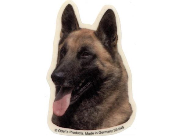 Malinois/Belgisk Hyrdehund