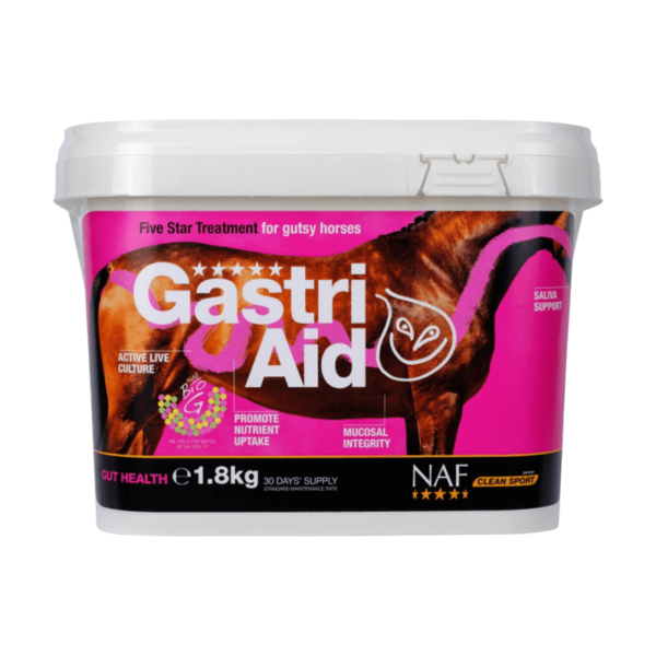 NAF GastriAid 1