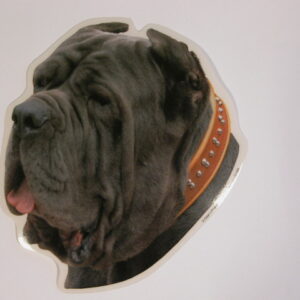 Neapolitansk Mastiff