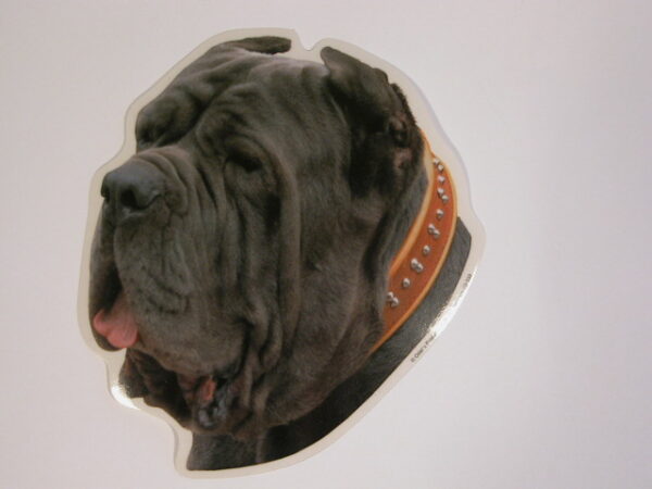 Neapolitansk Mastiff