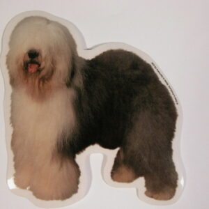 Old English Sheepdog