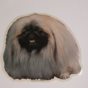 Pekingeser