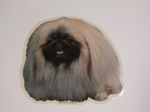 Pekingeser