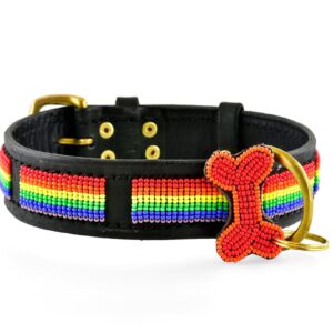 Pride Flag hundehalsbånd Zinj Design