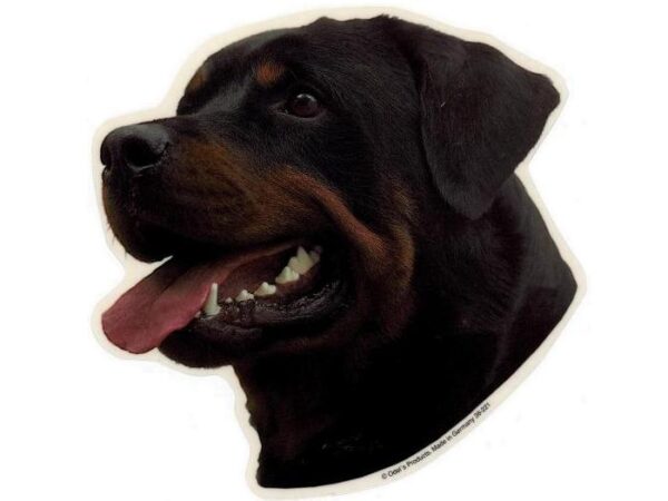 Rottweiler