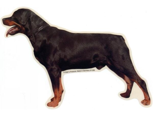 Rottweiler