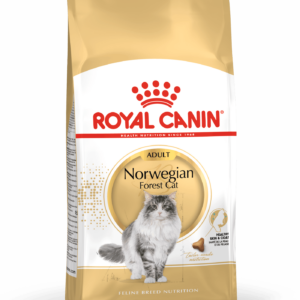 Royal Canin Adult Norwegian Forest Cat / Norsk skovkat. Til den voksne kat over 12 måneder