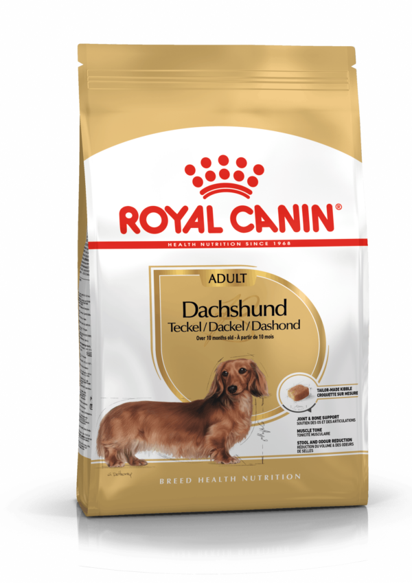 Royal Canin Dachshund / Gravhund Adult - over 10 måneder