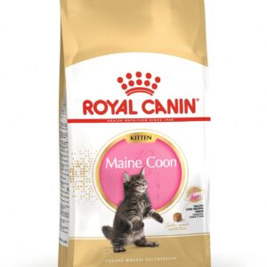 Royal Canin Maine Coon Kitten. Til Killinger op til 15 måneder