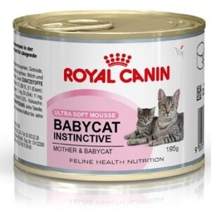 Royal Canin Mother & Babycat Mousse. Til den diegivende hunkat og hendes killinger op til 4 måneder. 1 ds á 195 g.