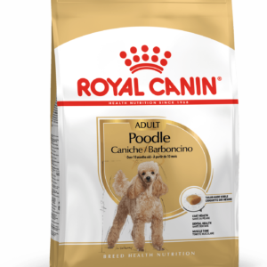 Royal Canin Puddel Adult