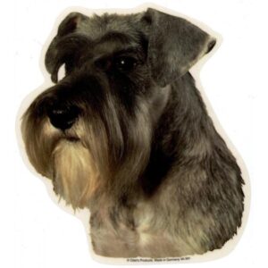 Schnauzer