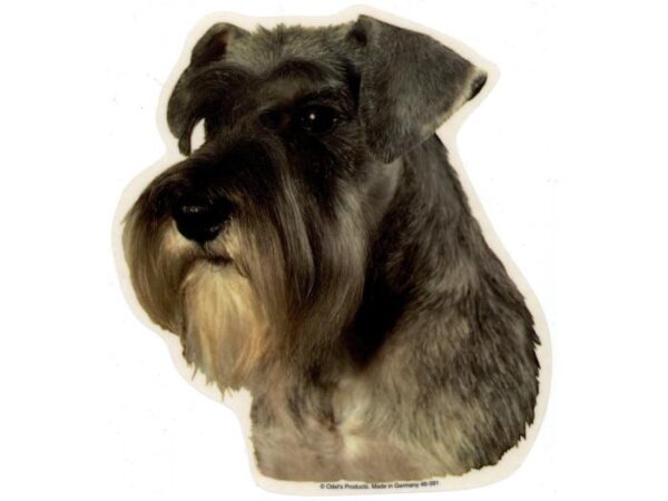 Schnauzer