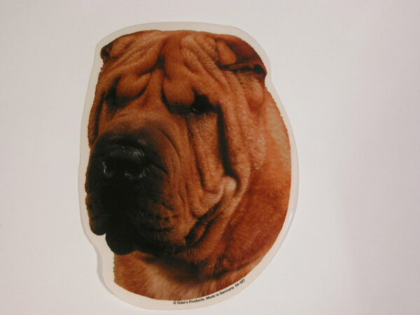 Shar Pei