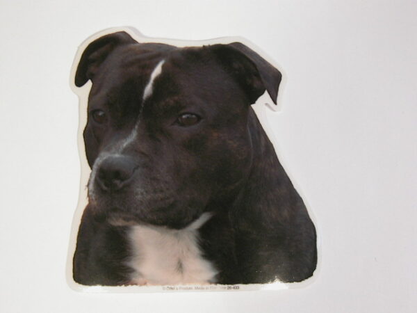 Staffordshire Bull Terrier