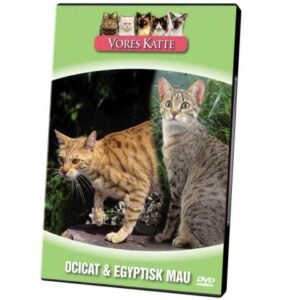 Vores Katte. Ocicat & Egyptisk Mau