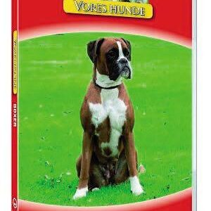 Vores hunde - Boxer