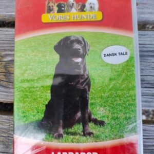 Vores hunde - Labrador