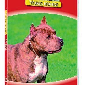 Vores hunde - Pit Bull