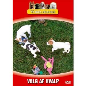 Vores hunde - Valg af hvalp. DVD.