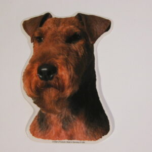 Welsh Terrier