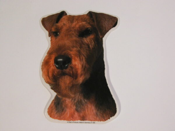 Welsh Terrier