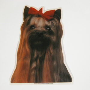 Yorkshire Terrier