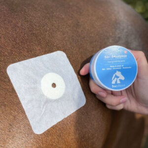 Bacxitium - Sårplaster