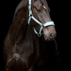 Catago - FIR TECH grime - Stone Blue - Stone Blue / Xfull