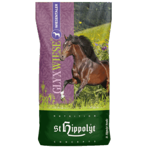 GlyxWiese Wiesentaler