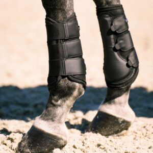 Imperial Riding - Gamacher