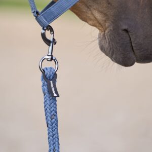Imperial Riding- Træktorv