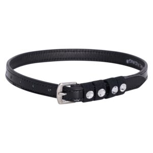 Imperial Riding - sporerem