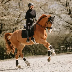 Kentucky - Gjord med lammeskind