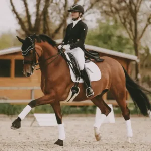 Kentucky - Gjord med lammeskind