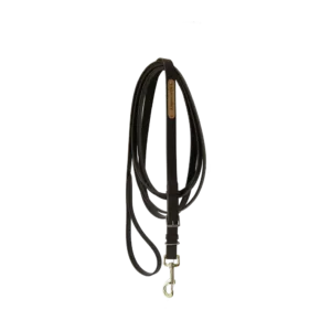 Kentucky - Hingste tov