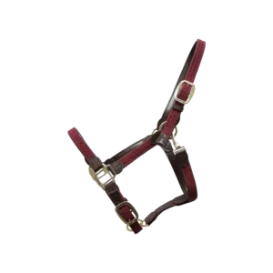 Kentucky - Læder grime med flet - Bordeaux / Full