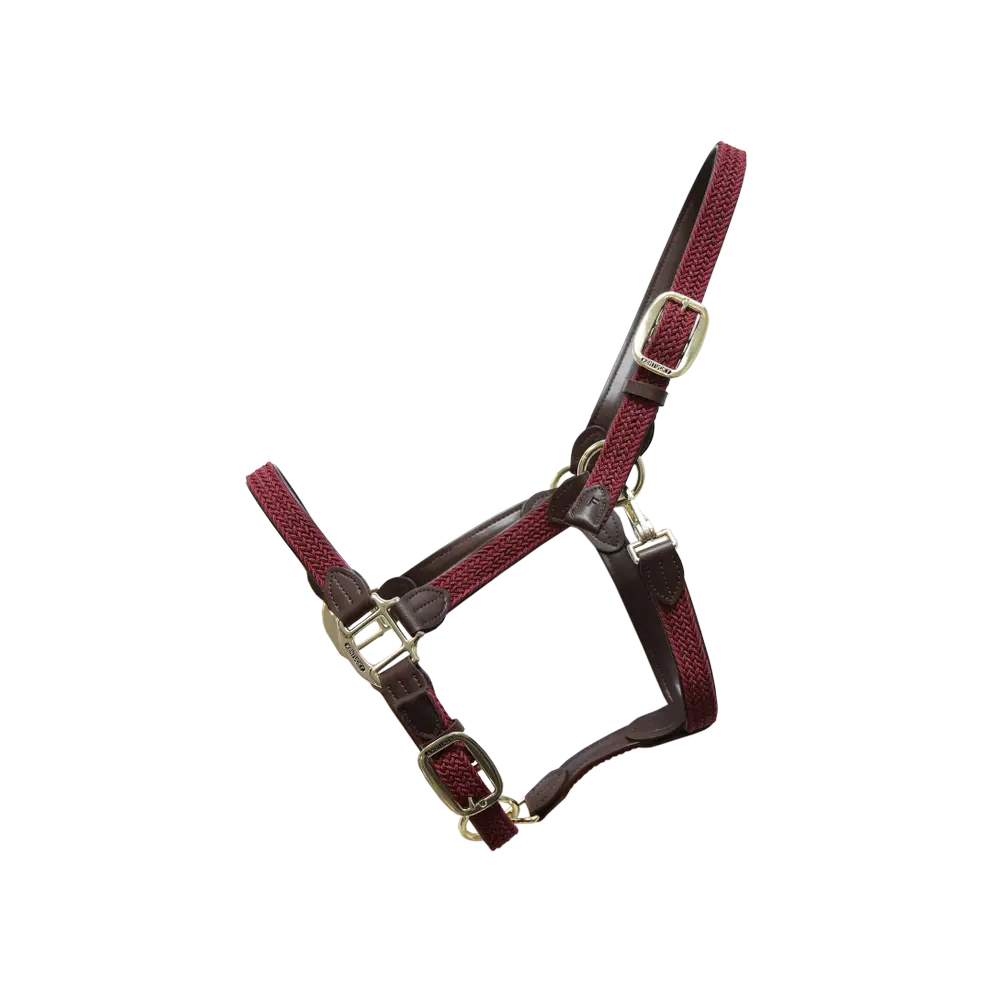 Kentucky - Læder grime med flet - Bordeaux / Full