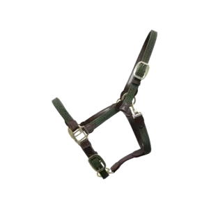 Kentucky - Læder grime med flet - Olive green / Full