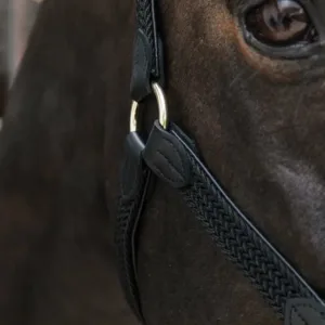 Kentucky - Læder grime med flet - Sort / Cob